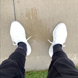 Meet your Posher, Rocco